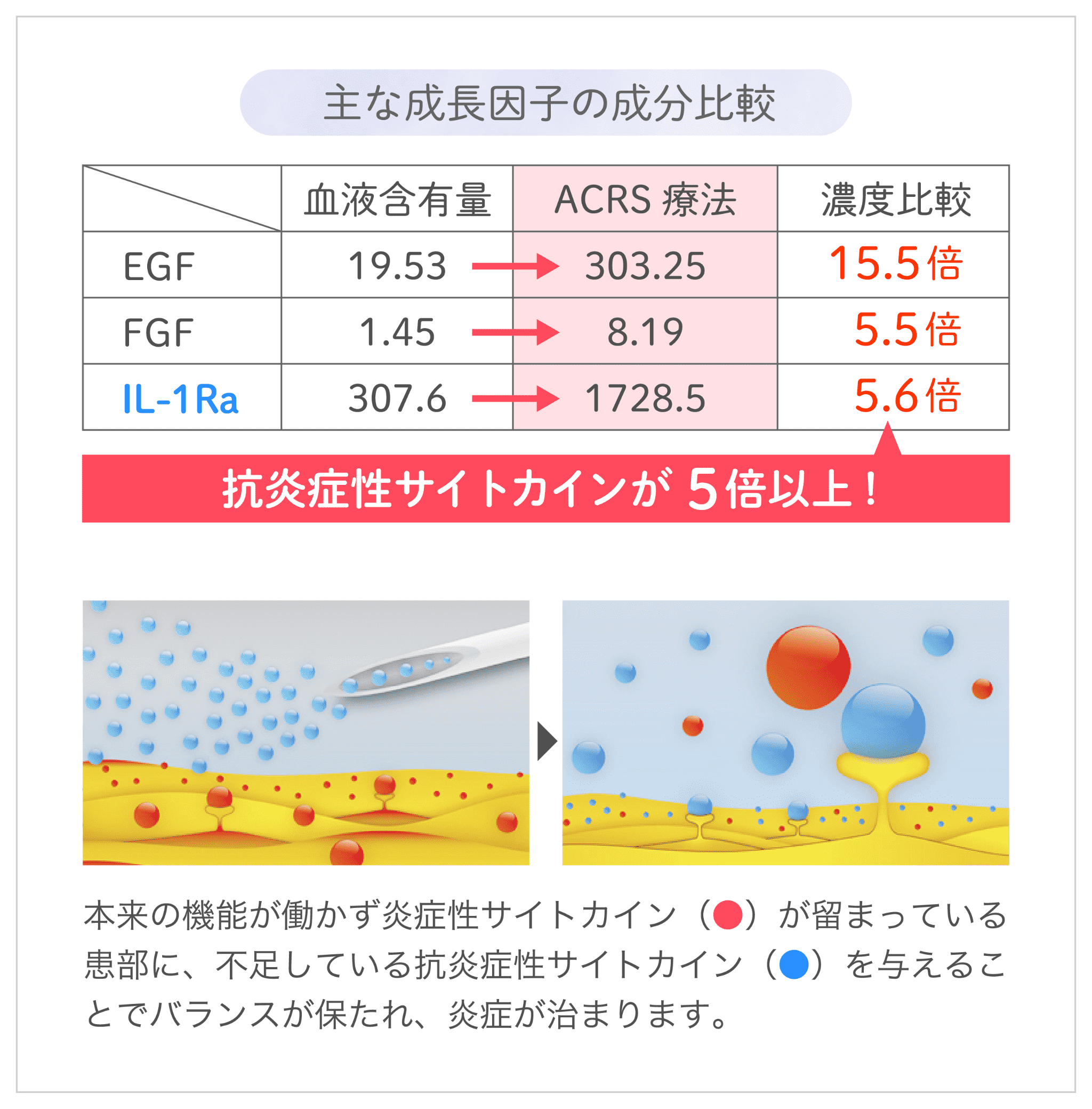 主な成長因子の成分比較