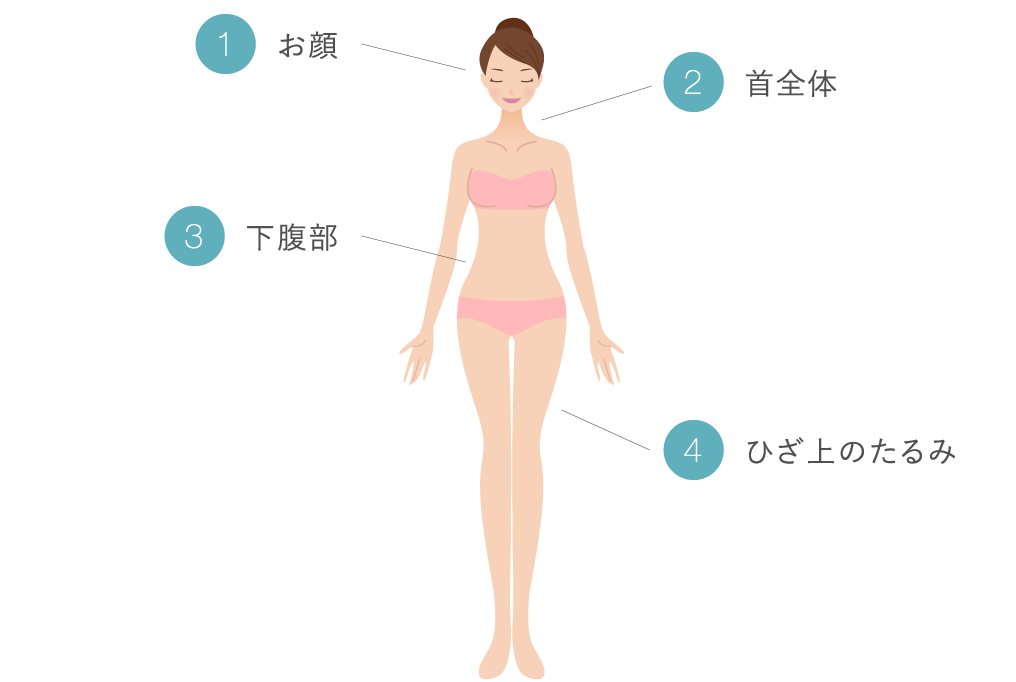 1お顔 2首全体 3下腹部 4ひざ上のたるみ