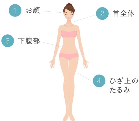 1お顔 2首全体 3下腹部 4ひざ上のたるみ