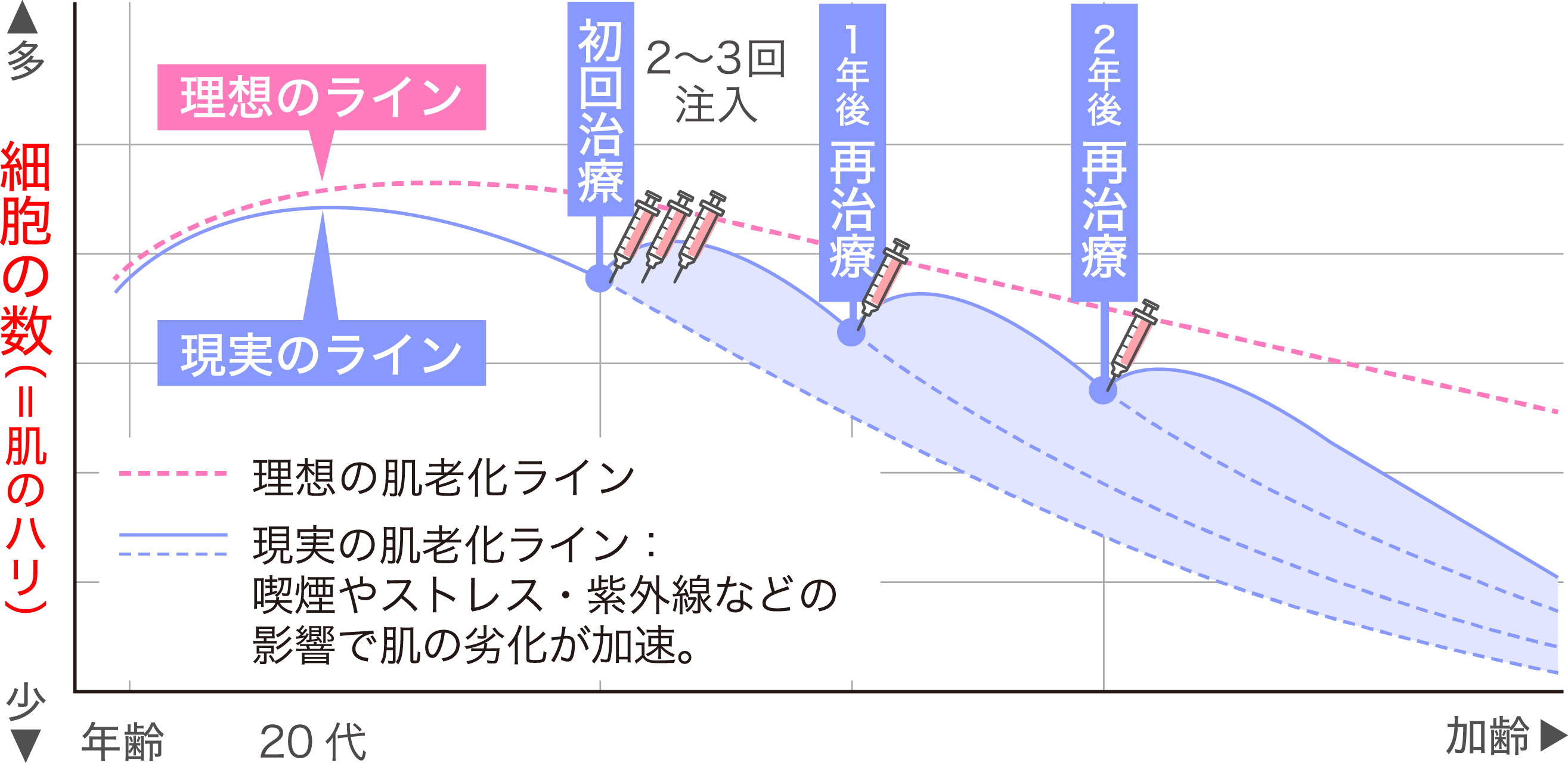 機能を回復させるお肌の根本治療