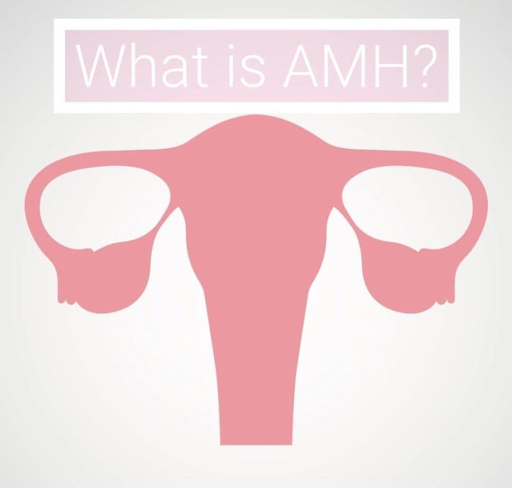 AMH（抗ミュラー管ホルモン、Anti-Mullerian Hormone）について